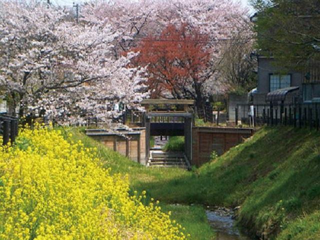 見沼通船堀公園