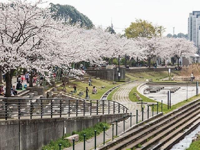 地蔵原の水辺