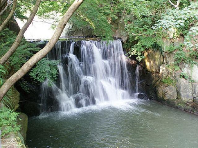 まさかりが淵市民の森 （約1,100m）