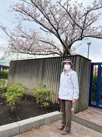 満開の桜！