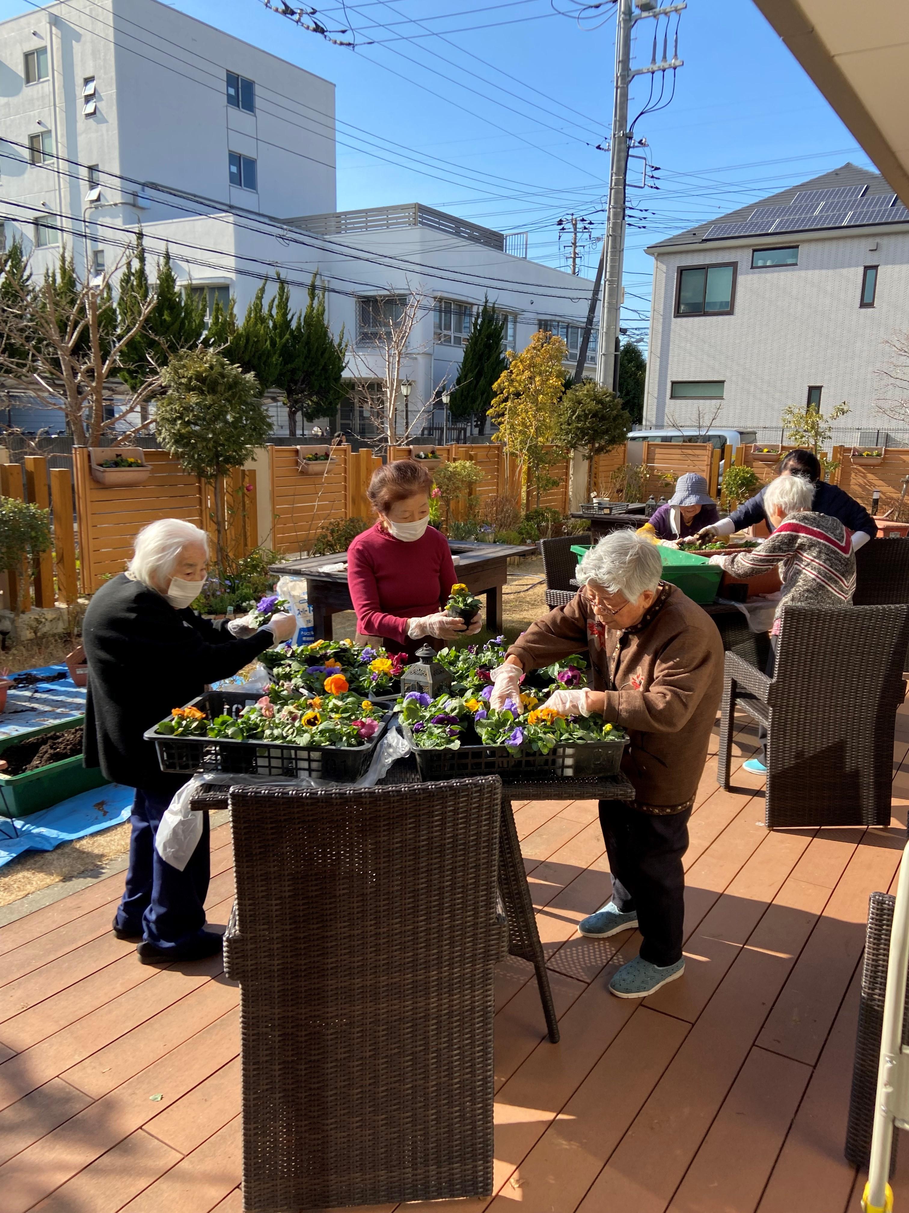 お庭の花植え