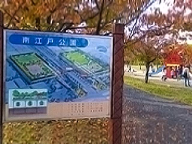 南江戸公園　徒歩2分