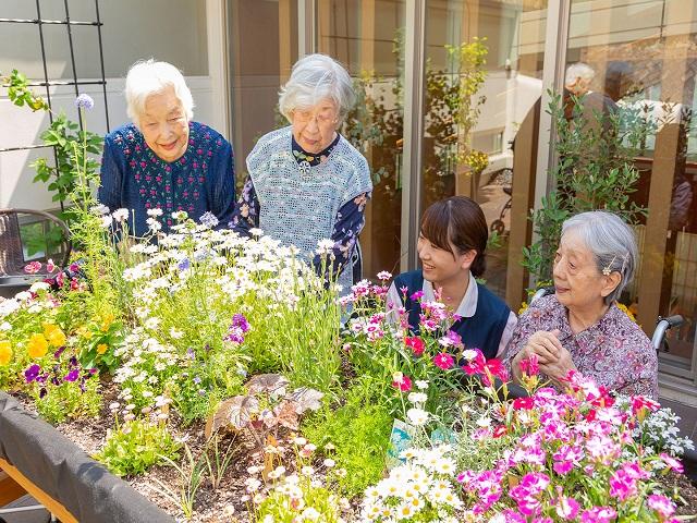 園芸サークル「めばえ」の活動