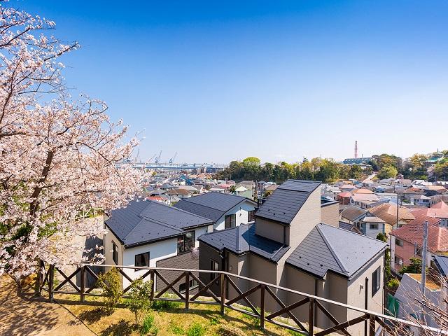 居室からの眺め