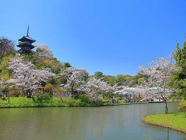 名園三溪園の散策