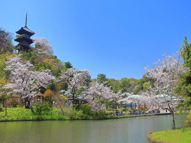 三溪園