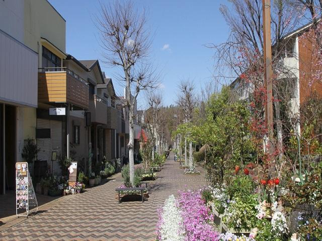 えだきん商店街