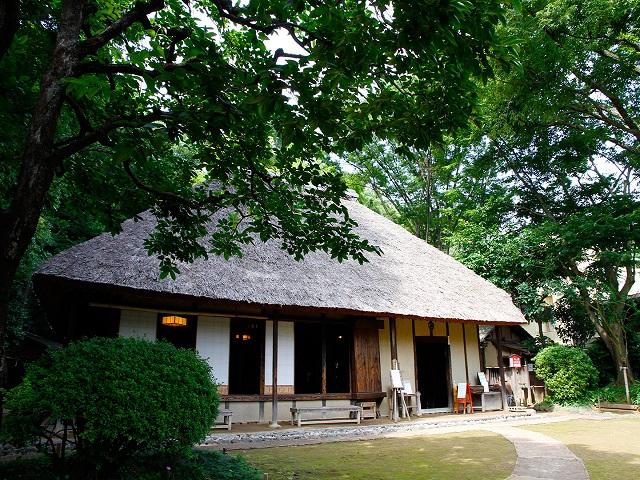 季節ごとの表情を見せる緑あふれる住宅地