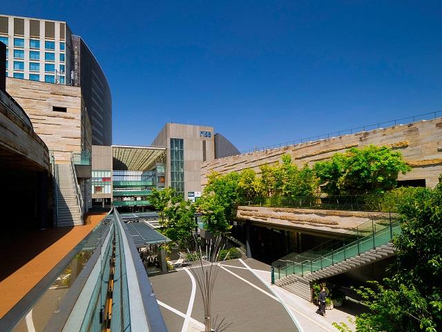 二子玉川で、街歩きの楽しさを堪能。