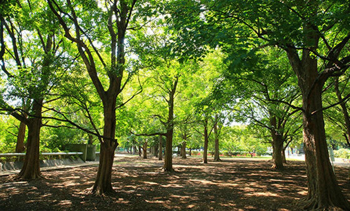 駒沢オリンピック公園