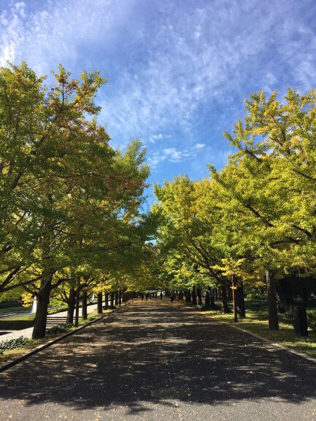 国営昭和記念公園