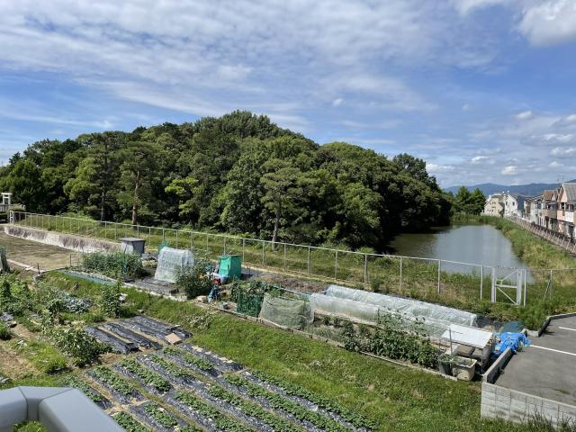 お部屋のからの眺め?