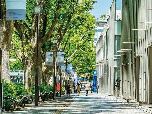 穏やかで上質な暮らしに相応しい南青山アドレス