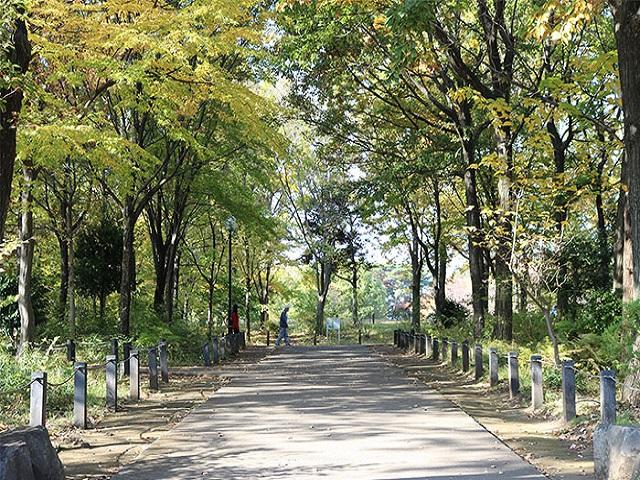 柏の宮公園