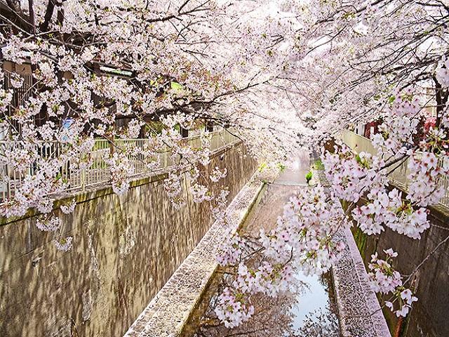 神田川