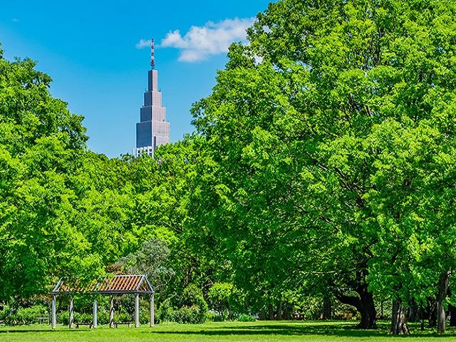 代々木公園