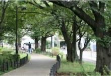 烏山川緑道：世田谷の桜や紅葉など四季折々の自然の彩りを楽しめる並木の遊歩道［約110m／徒歩2分］