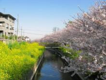 施設の前には用水路が流れています。春は桜も綺麗に咲き、お散歩コースにも最適です。