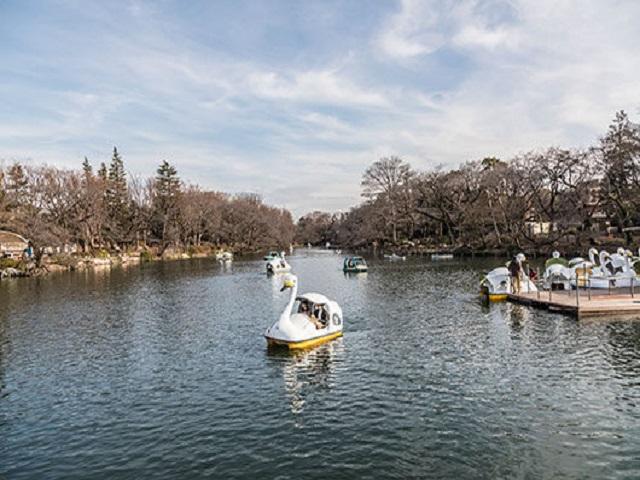 井の頭恩賜公園 （約3,230m）