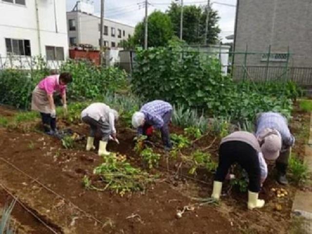 植物とのふれあい