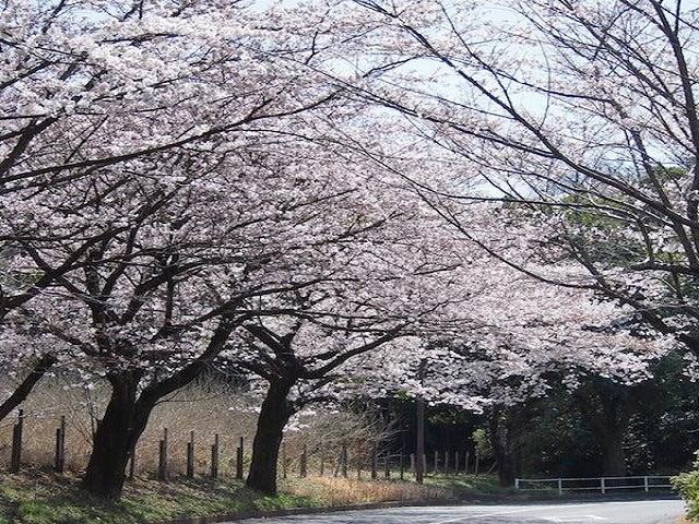 周辺の様子