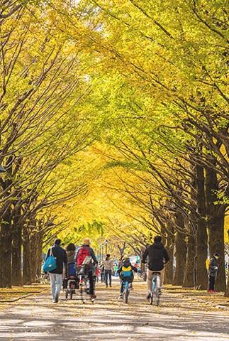 光が丘公園