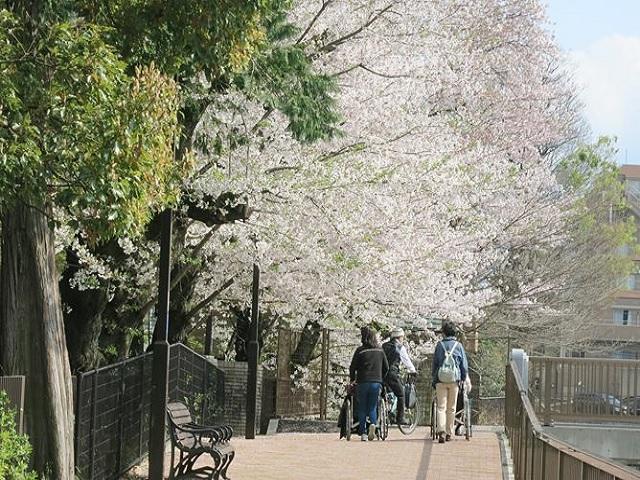 外出レクリエーション（例）