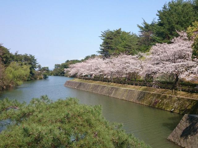 白水大池公園（約5分）