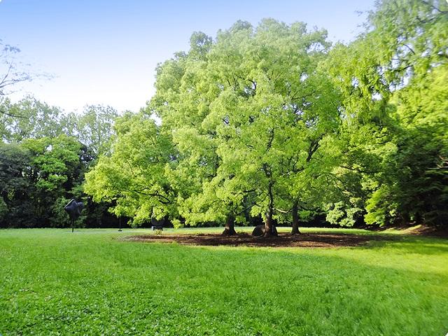 【周辺環境】大井ふ頭中央海浜公園なぎさの森