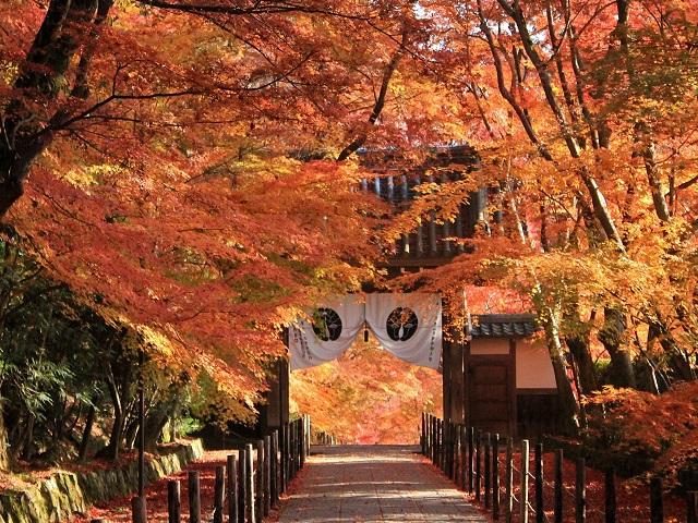 周辺環境イメージ