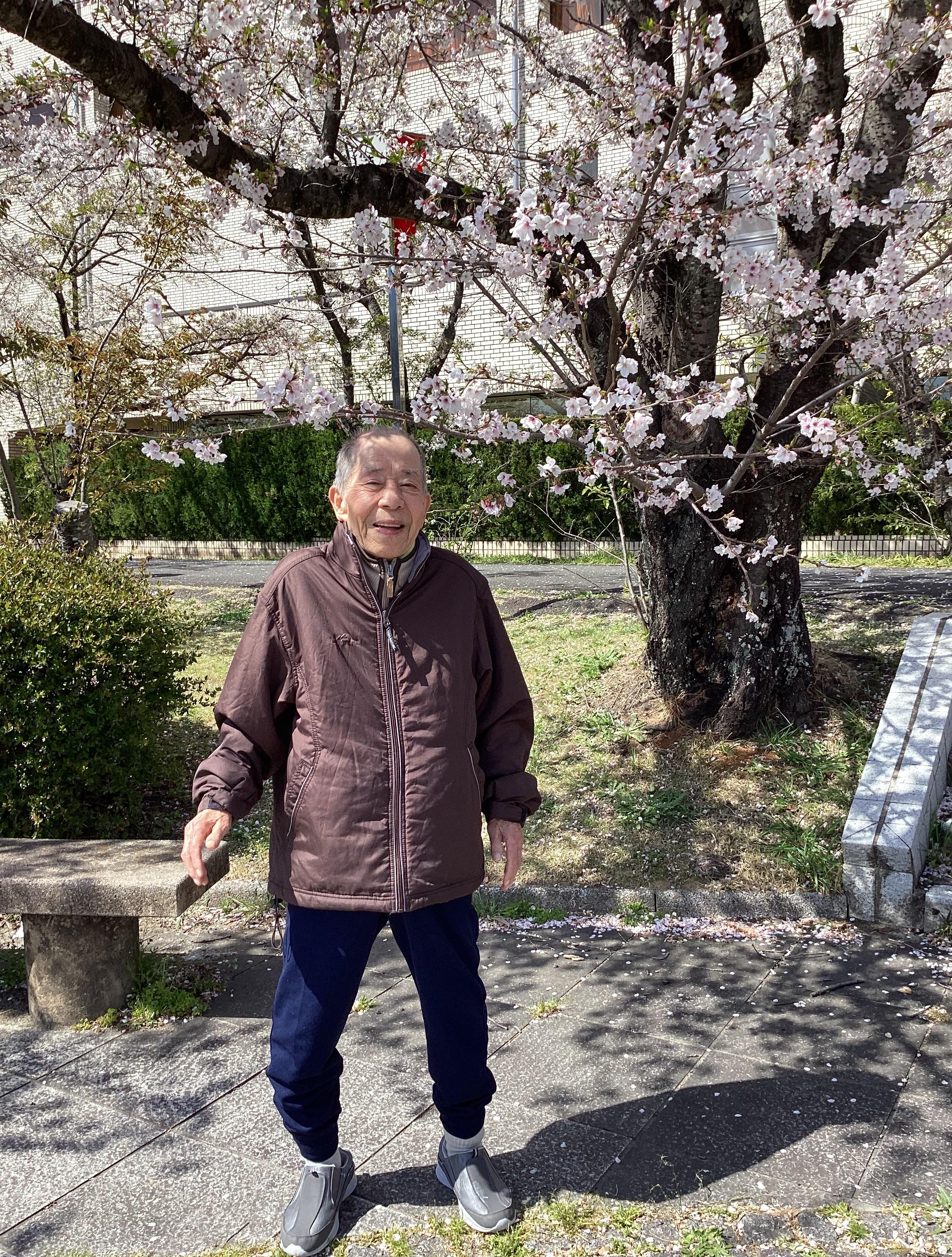 🌸お花見に行きました🌸