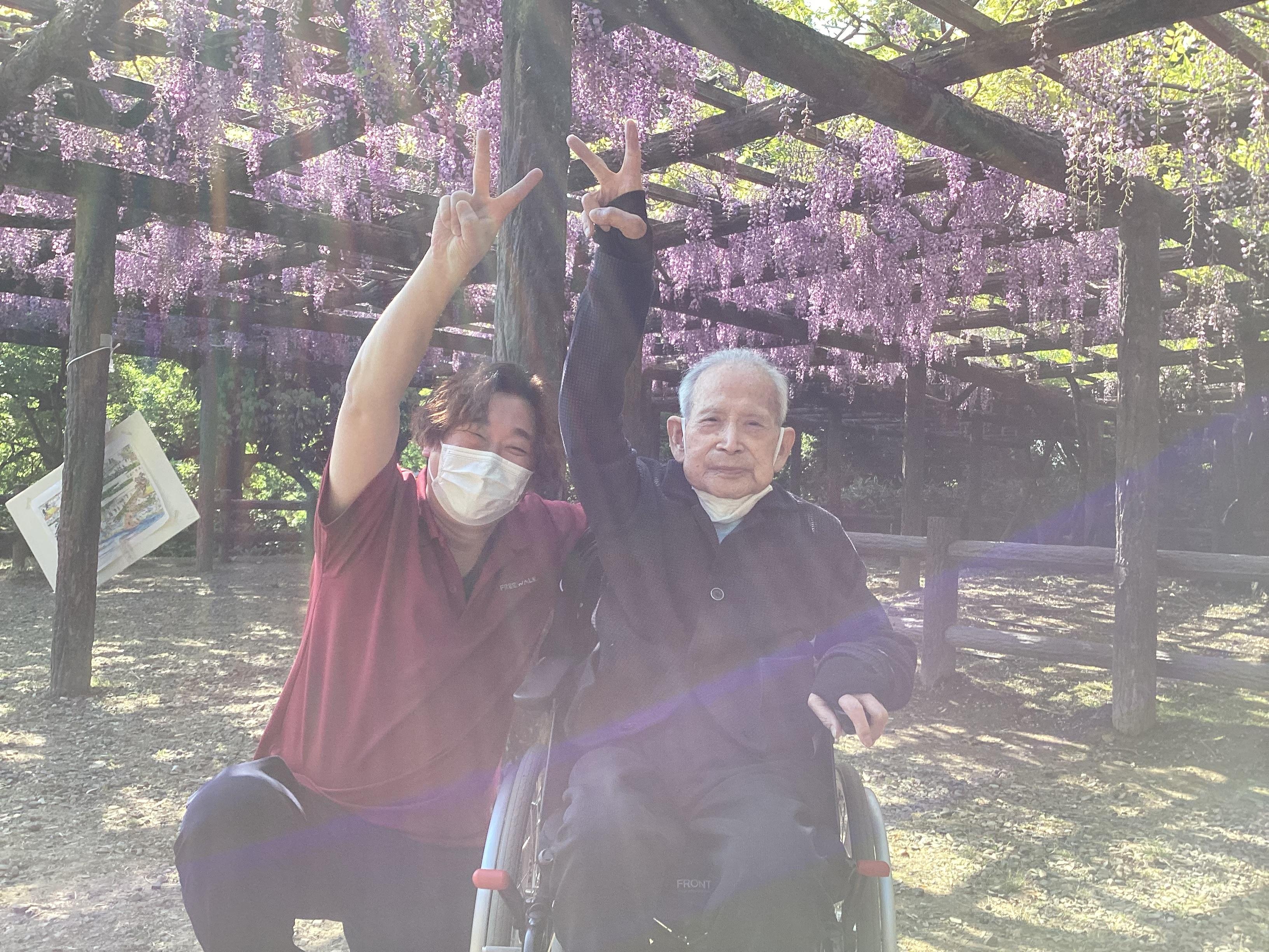 藤棚を見に行きました🪻
