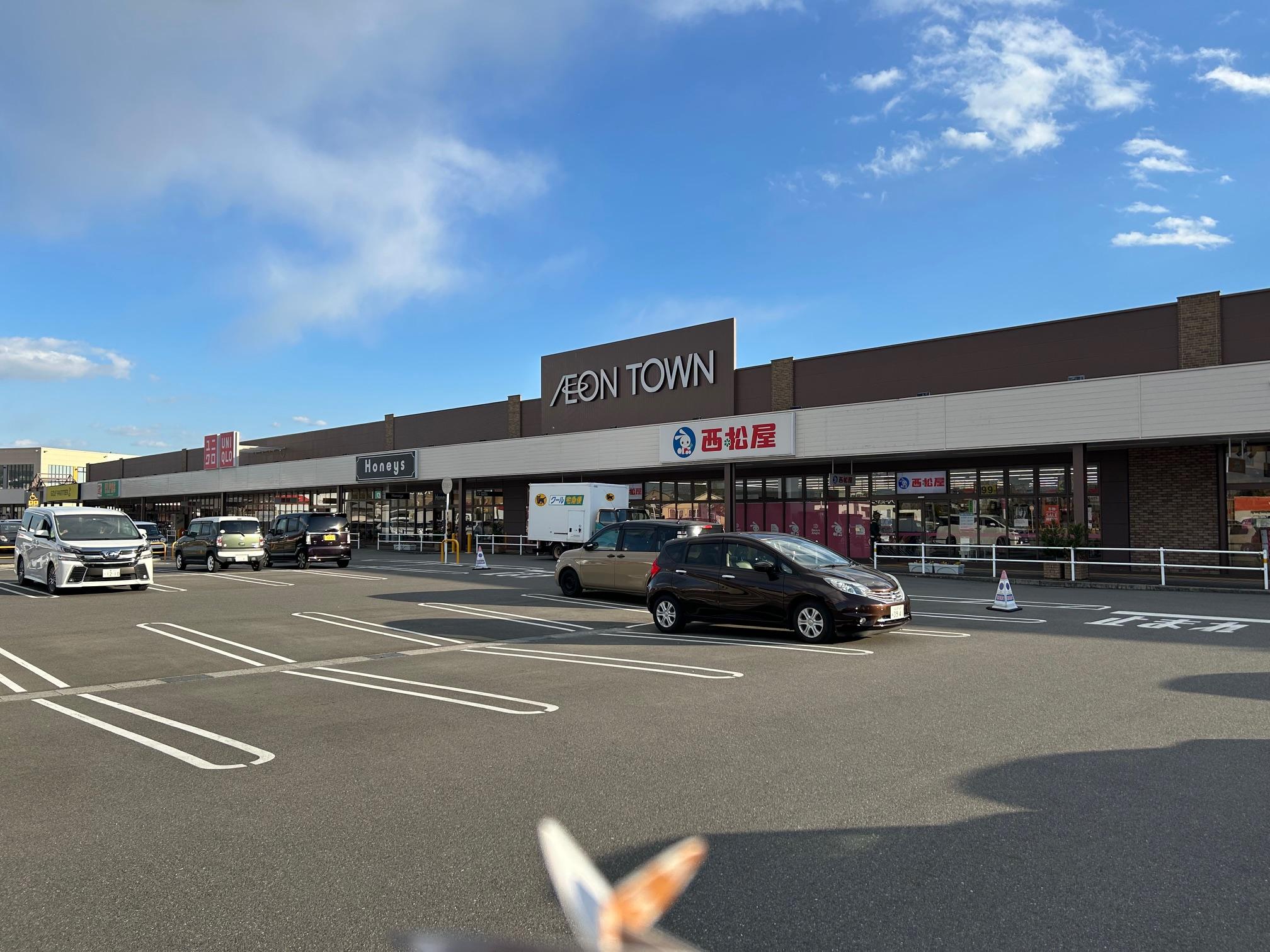 【イオンタウン】車で8分　スーパーや百均、飲食店や衣類など何でも揃っている施設が10分圏内にあります