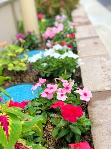 花壇